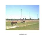 TBD Pin Oak Lane - Photo 15