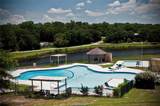TBD Holly Springs Drive - Photo 9