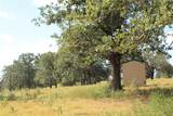 8004 Milam County Road - Photo 10