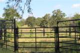 8004 Milam County Road - Photo 13