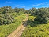 8688 Treebrook Lane - Photo 47