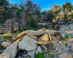 3600 Mount Sharp Road - Photo 24
