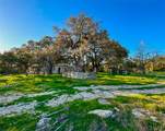 3600 Mount Sharp Road - Photo 25