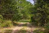 TBD Us Hwy 77 - Photo 12