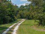 14706 Highway 90 - Photo 6