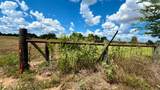 TBD Us Hwy 79 (+/-11.5 Acres) - Photo 10