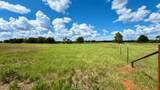 TBD Us Hwy 79 (+/-11.5 Acres) - Photo 6