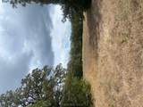 6070 Fm 60 - Photo 4