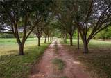 2401 Brazos River Lane - Photo 4