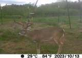 2401 Brazos River Lane - Photo 6