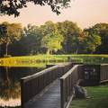 20650 Fm 2154 - Photo 9