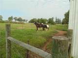 5688 Broach Road - Photo 32