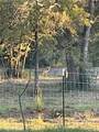 3205 County Road 308 - Photo 40