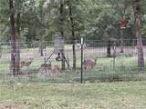 3205 County Road 308 - Photo 41