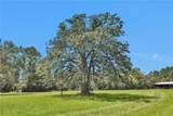 15487 County Road 228 - Photo 44
