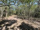531 Moss Oak Drive - Photo 3
