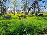 2970 County Road 270 - Photo 45