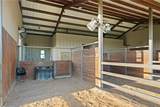 30163 High Spirit Ranch Road - Photo 8