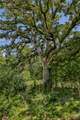 3208 W State Highway 21 - Photo 20