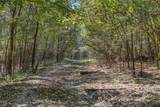 TBD State Hwy 21 E (+/- 69.227 Acres) - Photo 11