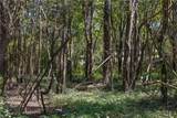 TBD State Hwy 21 E (+/- 69.227 Acres) - Photo 12