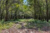 TBD State Hwy 21 E (+/- 69.227 Acres) - Photo 13