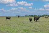 2232 Fm 975 - Photo 35