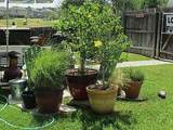 4049 Southern Trace - Photo 7