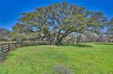 1800 Fm 390 West - Photo 5