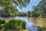 3702 County Road 151 - Photo 41
