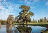 7654 County Road 121 - Photo 45