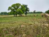 5997 County Road 308 - Photo 4