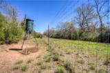 TBD County Road 482 - Photo 38