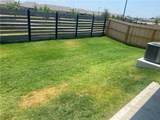 1224 Amistad Loop - Photo 8