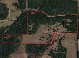3457 County Road 364 - Photo 2