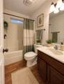 1019 Emerald Dove Avenue - Photo 8