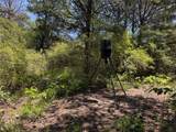 3454 Co Rd 426 - Photo 29