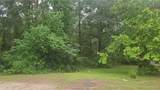 1017 Weeping Willow Drive - Photo 12
