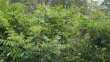 Lot 10 Sweetleaf Lane - Photo 10