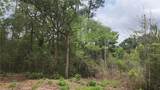 Lot 10 Sweetleaf Lane - Photo 4