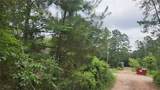 Lot 10 Sweetleaf Lane - Photo 5