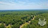 TBD Ranch Road Off Cr 405 (+/- 60 Acres) - Photo 12