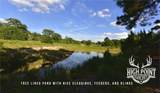 TBD Ranch Road Off Cr 405 (+/- 60 Acres) - Photo 2