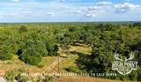 TBD Ranch Road Off Cr 405 (+/- 60 Acres) - Photo 5