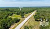TBD Ranch Road Off Cr 405 (+/- 60 Acres) - Photo 6