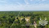TBD Ranch Road Off Cr 405 (+/- 60 Acres) - Photo 9