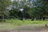 3835 County Road 151 - Photo 42