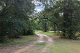 3835 County Road 151 - Photo 46