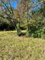 165 Acres Turner Ln - Photo 22