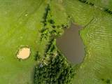 165 Acres Turner Ln - Photo 5